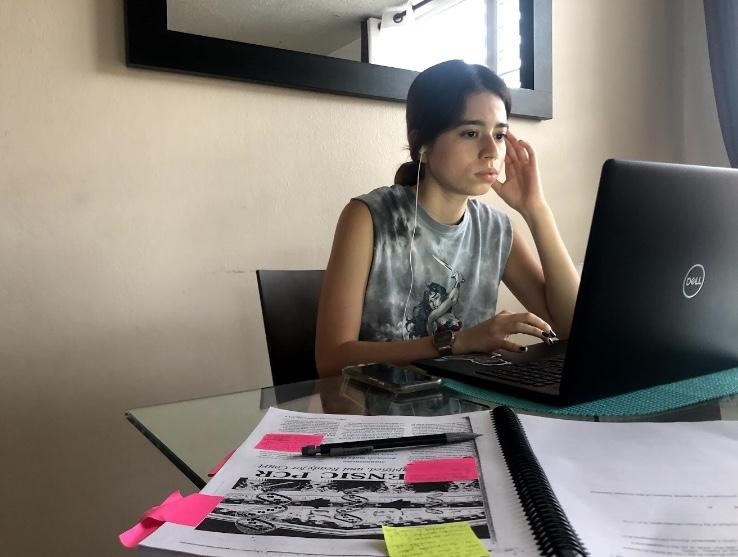  la estudiante de la Universidad de Puerto Rico Chantal A. Ferrer le preocupa que las clases remotas puedan generarle rezagos que la afecten en el futuro.